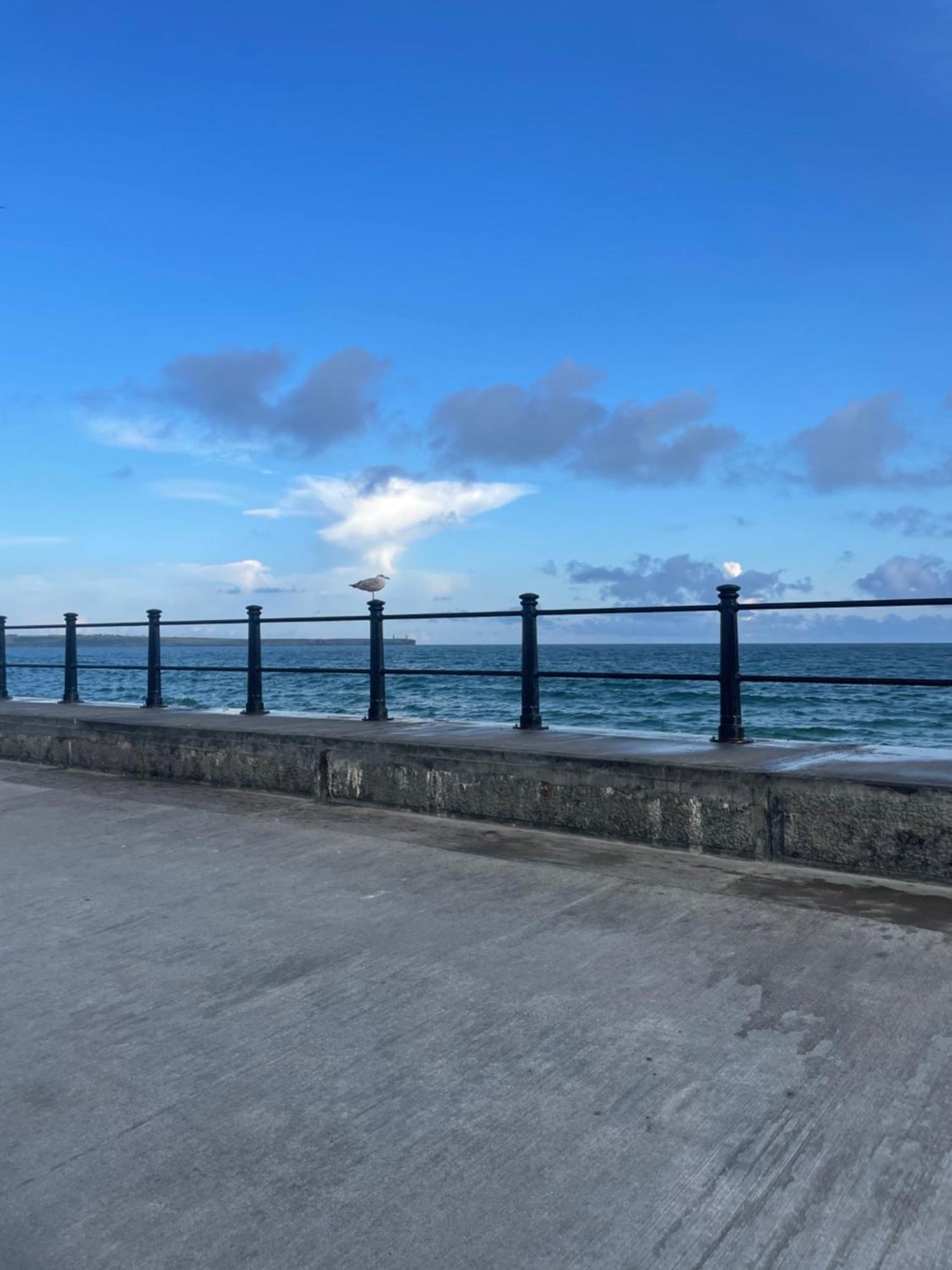 Harmony House Enclosed Property Near Beach And Lake トラモア エクステリア 写真